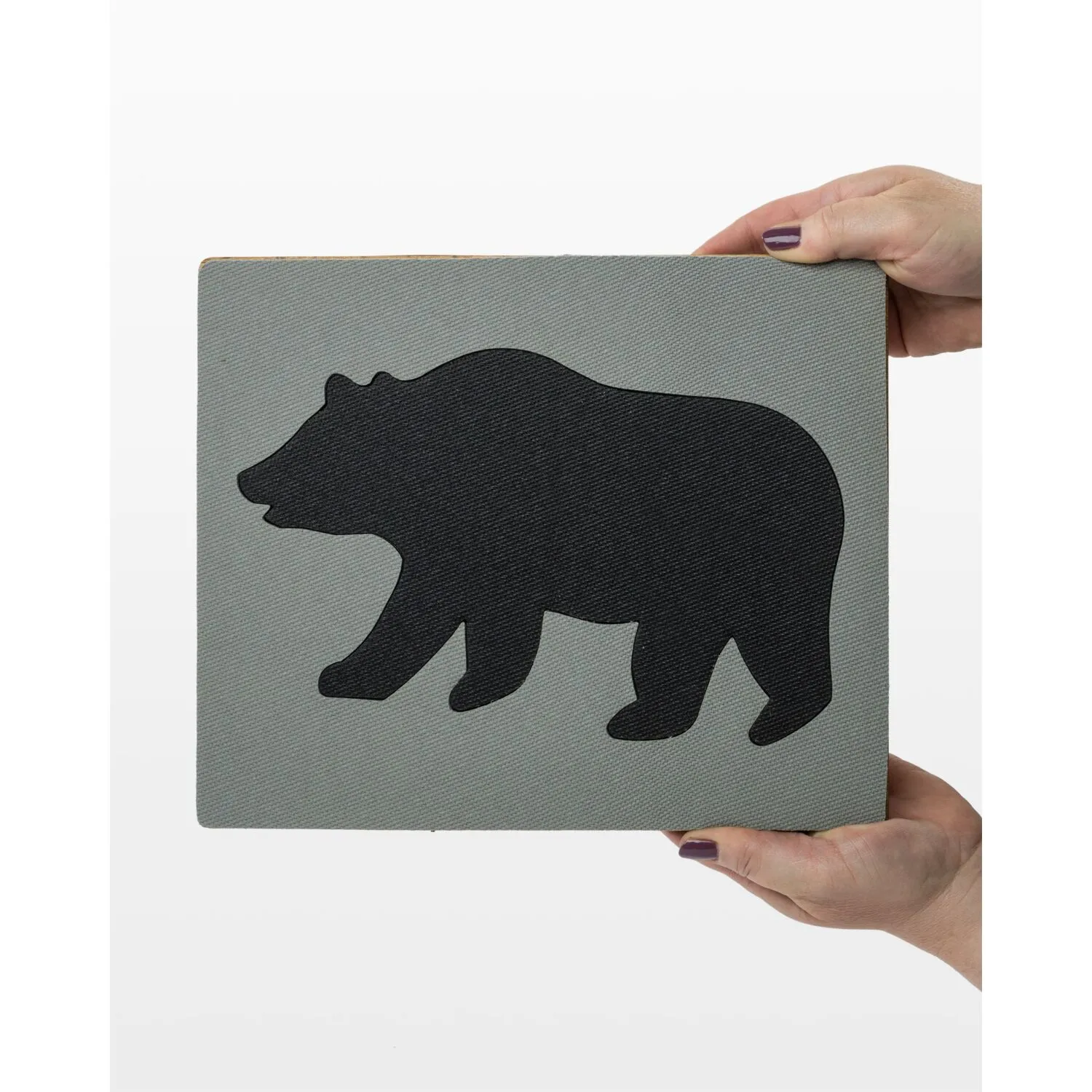 Studio Bear #1 (Jumbo) 5 Studio Bear #1 (Jumbo)